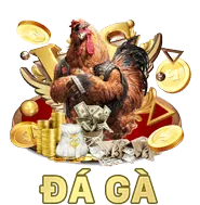 Cách gnbet win sử dụng dữ liệu